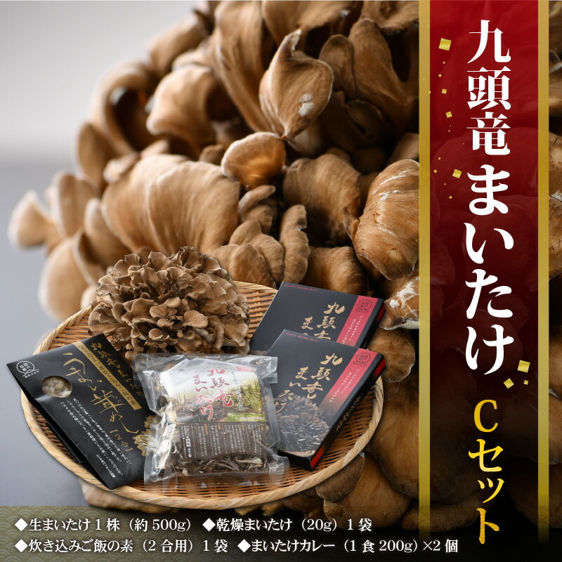 【ふるさと納税】九頭竜まいたけ と カレー ・ ごはんの素 など 加工品 セット (Cセット)[A-038006]| まいたけ 乾燥 炊き込みご飯 きのこ 舞茸 香り 最上級 歯ごたえ レトルトカレー 天ぷら おすすめ 加工品 加工食品 九頭竜 秋の味覚 冷凍保存 カレー 山菜 - 画像2