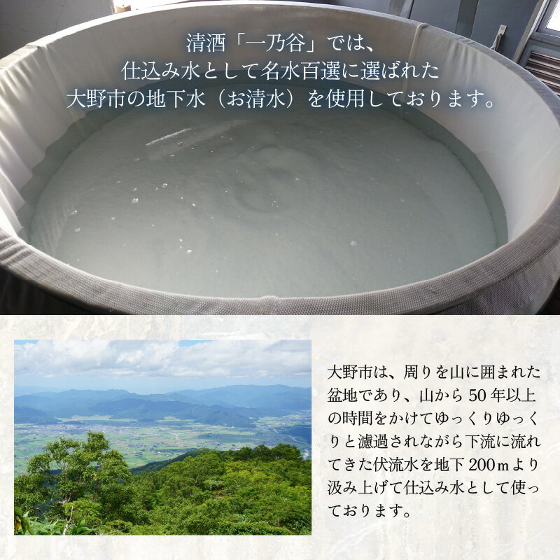 【ふるさと納税】奥越前大野 日本酒 清酒『一乃谷』大吟醸 さかほまれ 720ml【日本酒・大吟醸・お酒】 [A-046003] サムネイル3
