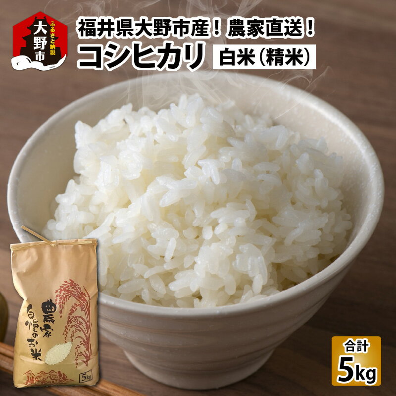 【令和7年産】福井県大野市産 コシヒカリ 白米 精米 5kg 農家直送 [A-013001]