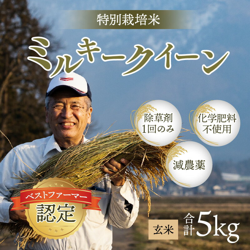 【ふるさと納税】【令和7年産】【無農薬に限りなく近い】ミルキークイーン 玄米 5kg 除草剤1回のみ・有機質肥料による特別栽培米 減農薬 化学肥料不使用 [B-030009] - 画像2
