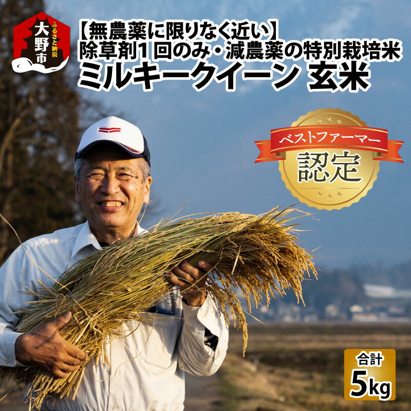 【令和7年産】【無農薬に限りなく近い】ミルキークイーン 玄米 5kg 除草剤1回のみ・有機質肥料による特別栽培米 減農薬 化学肥料不使用 [B-030009]