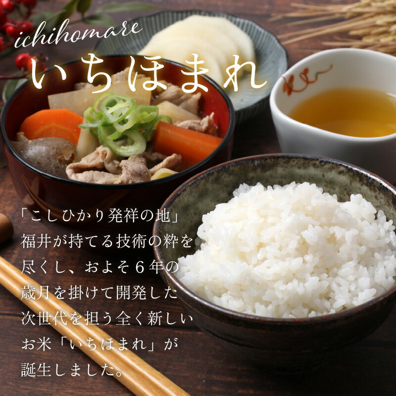 【ふるさと納税】【選べる内容量・お届け回数 1～12回】【福井のブランド米】【令和7年産】【特A獲得】いちほまれ 無洗米 2～4kg | 無洗米 白米 コメ ご飯 ごはん 甘い 定期便 人気品種 送料無料 - 画像2