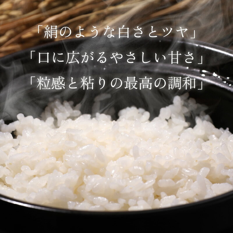 【ふるさと納税】【選べる内容量・お届け回数 1～12回】【福井のブランド米】【令和7年産】【特A獲得】いちほまれ 無洗米 2～4kg | 無洗米 白米 コメ ご飯 ごはん 甘い 定期便 人気品種 送料無料 - 画像3