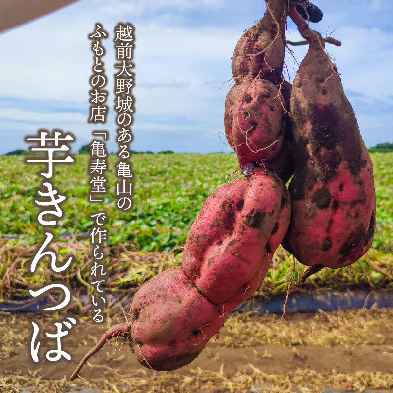 【ふるさと納税】【選べる個数】名水の里越前大野の「芋きんつば」10～20個 添加物不使用 [A-011002]|さつまいも 白あん バター いもきん サツマイモ スイートポテト お菓子 お茶菓子 和菓子 スイーツ 冷凍 配送 ギフト お土産 のし対応 国産 詰め合わせ 送料無料 母の日 - 画像2