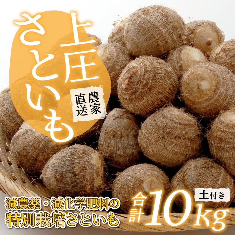 【ふるさと納税】【先行予約】【3月発送分】上庄さといも 10kg 減農薬・減化学肥料の特別栽培里芋 農家直送 野菜 上庄里芋 土芋 里芋 10kg [B-004001_05] - 画像2
