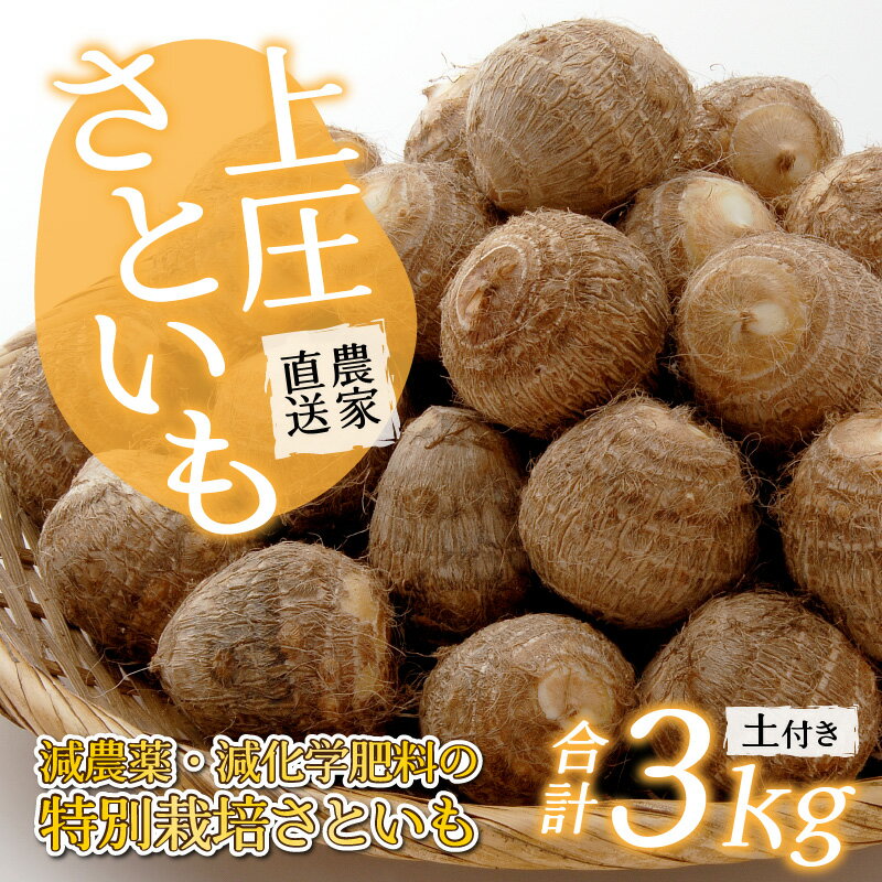 【ふるさと納税】【先行予約】【3月発送分】上庄さといも 3kg 減農薬・減化学肥料の特別栽培里芋 農家直送 野菜 上庄里芋 土芋 里芋 3kg [A-004001_05] - 画像2