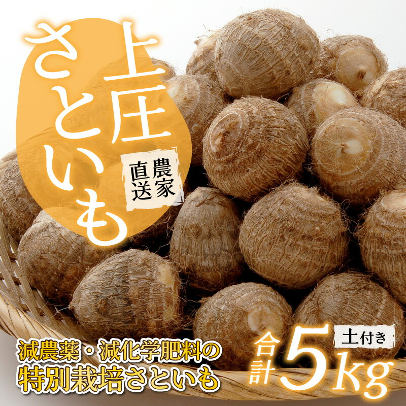 【ふるさと納税】【先行予約】【3月発送分】上庄さといも 5kg 減農薬・減化学肥料の特別栽培里芋 農家直送 野菜 野菜セット 上庄里芋 さといも 5kg [A-004002_05] - 画像2