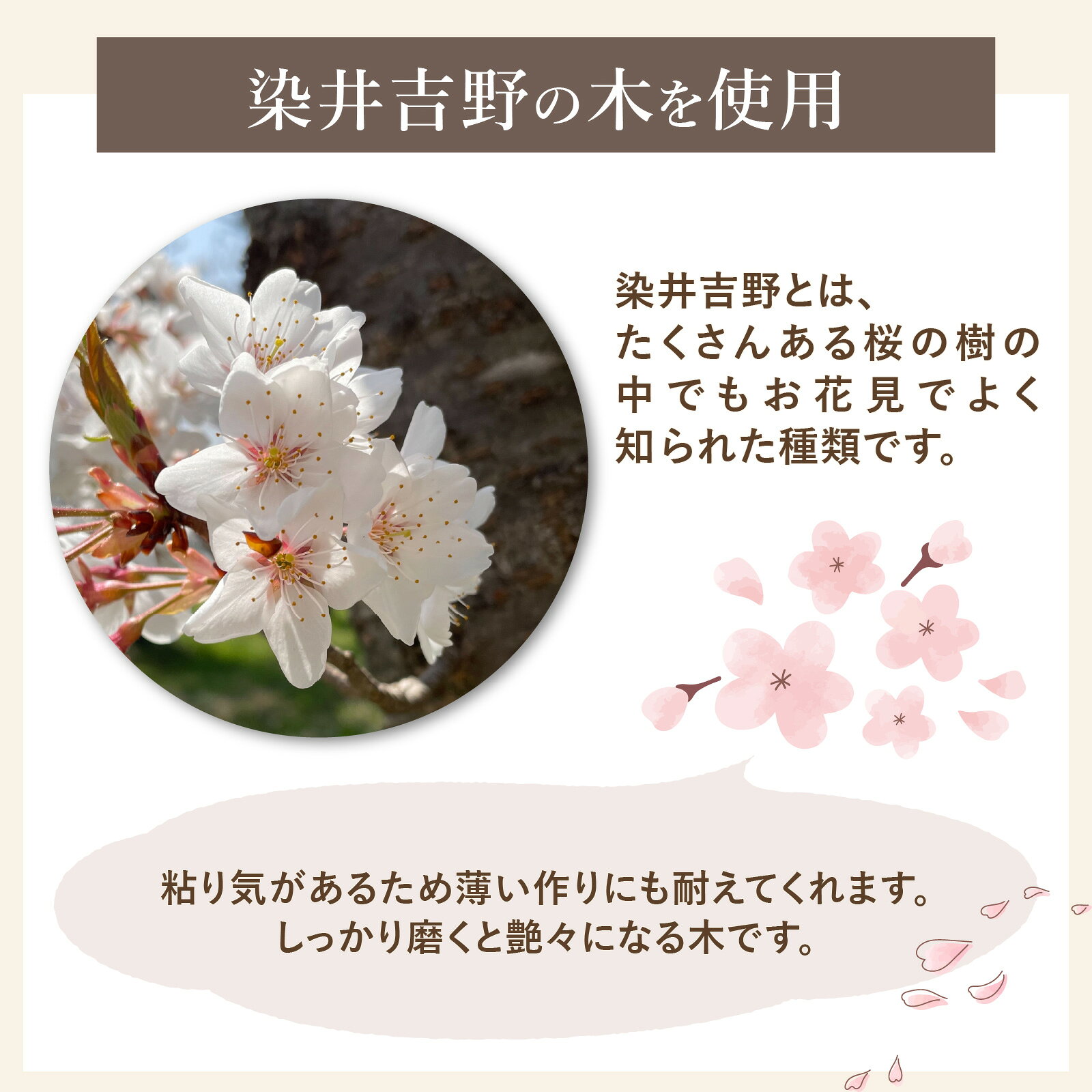 【ふるさと納税】【数量限定】大野市の染井吉野の木で作成した「木のくつべら」 サムネイル3