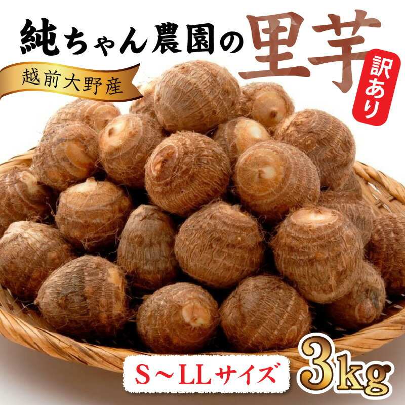 【ふるさと納税】【先行予約】【訳あり】越前大野産 「純ちゃん農園の里芋3kg」サイズS～LL寸【10月下旬より順次発送】 [A-074005]|和食 根菜 煮物 送料無料 サムネイル2