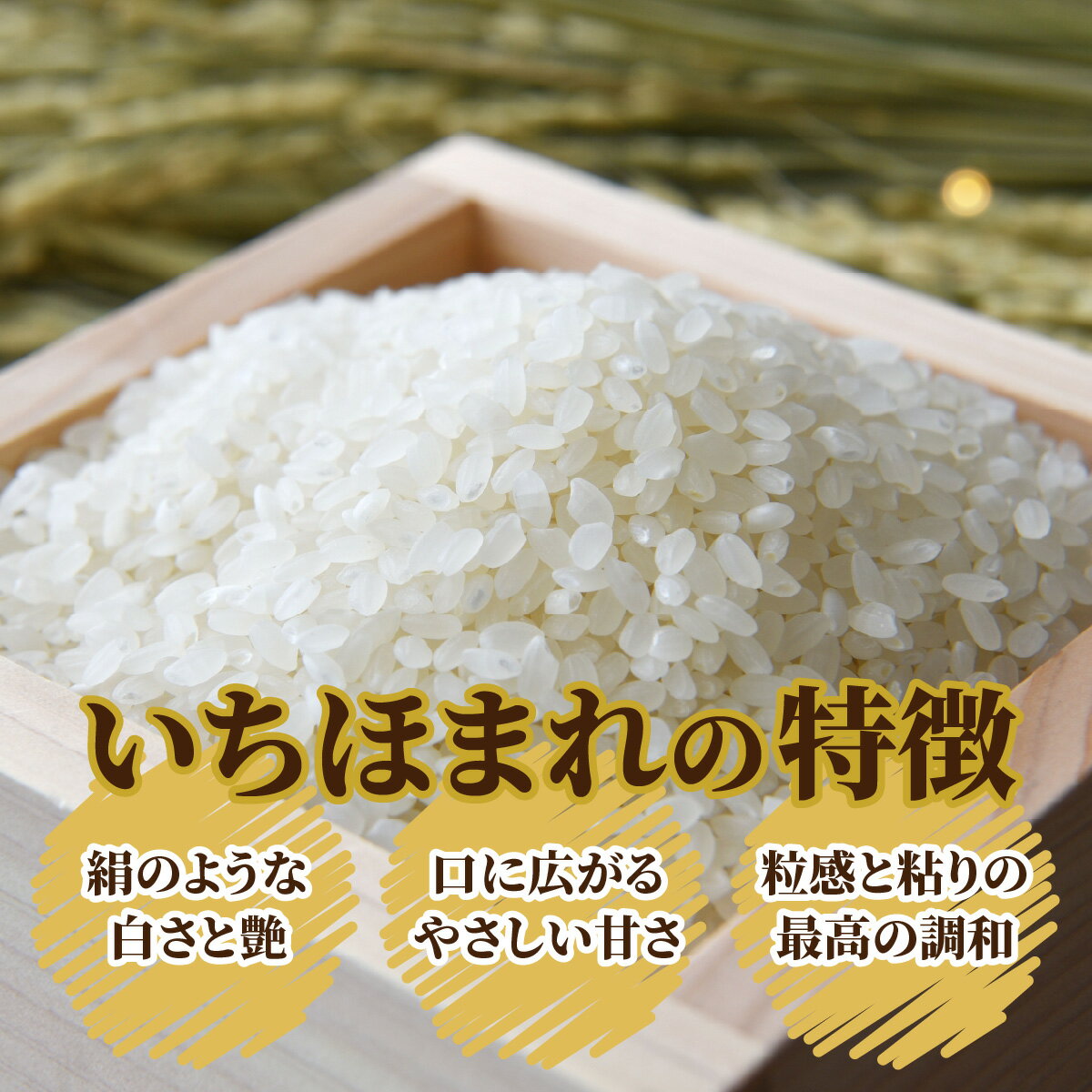 【ふるさと納税】【令和7年産】福井県産 いちほまれ（白米）|5kg 10kg お米 いちほまれ 白米 精米 おこめ ご飯 ごはん お取り寄せ おうちごはん 美味しい 食品 単一原料米 発送直前 つや 艶 甘味 旨み 大野市産 福井県産 ブランド米 送料無料[A-097001] - 画像3