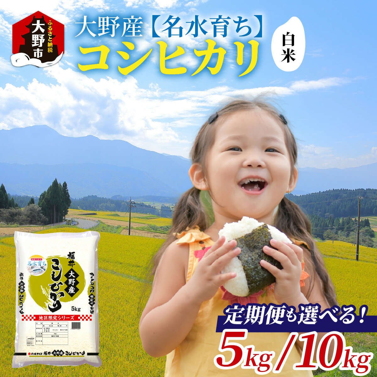 【令和7年産】大野産コシヒカリ（白米）【大野ブランド米 名水育ち】|5kg 10kg お米 こしひかり コシヒカリ 白米 精米 おこめ ご飯 ごはん つや 艶 甘味 旨み 大野市産 福井県産 ブランド米 送料無料[A-097002]