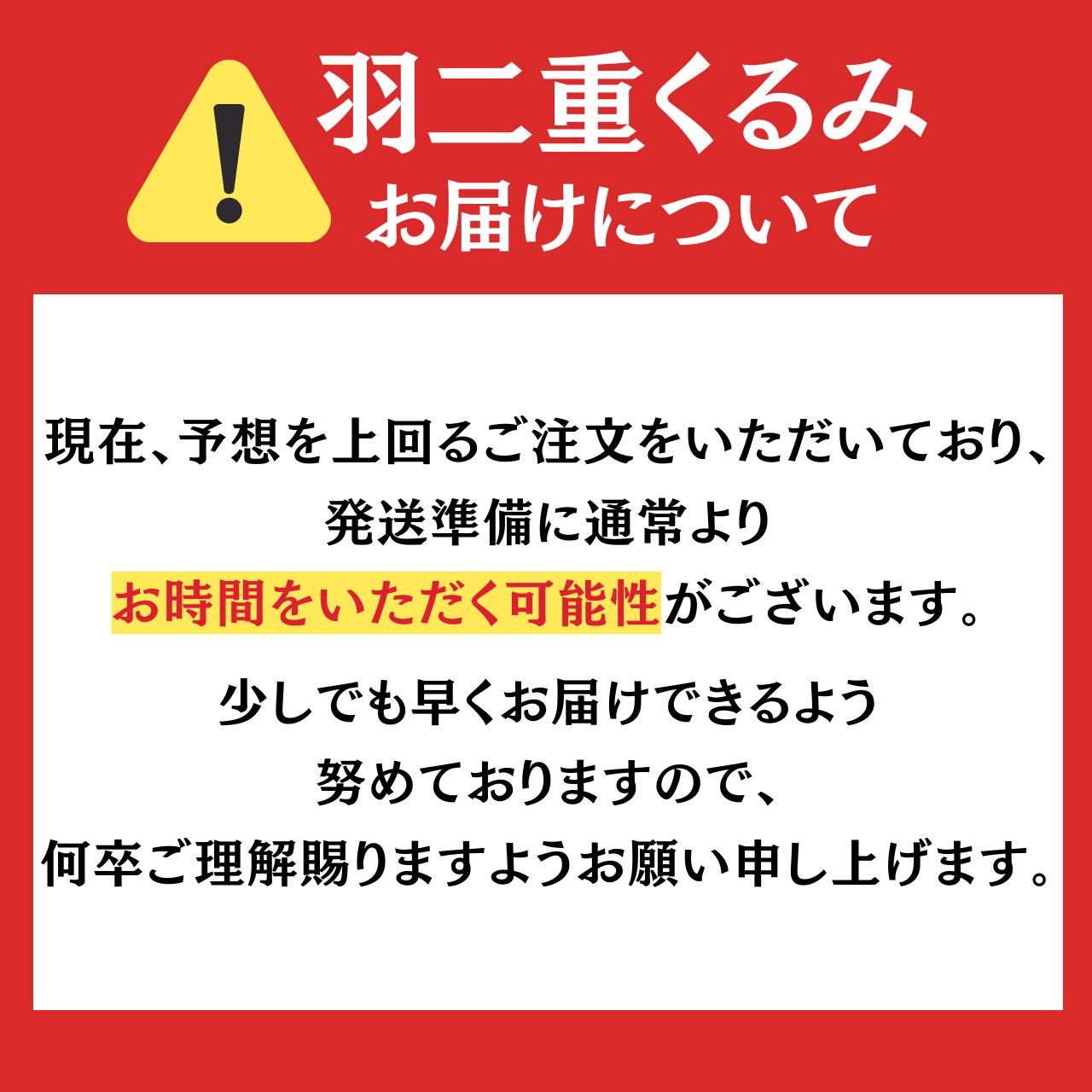 【ふるさと納税】羽二重 くるみ 10個入り | お菓子 デザート スイーツ 洋菓子 和菓子 お茶 お土産 お取り寄せ 詰め合わせ 個包装 セット ギフト 贈答用 プレゼント はぶたえ クルミ 餅 もち 福井 はや川 送料無料 わがし サムネイル2