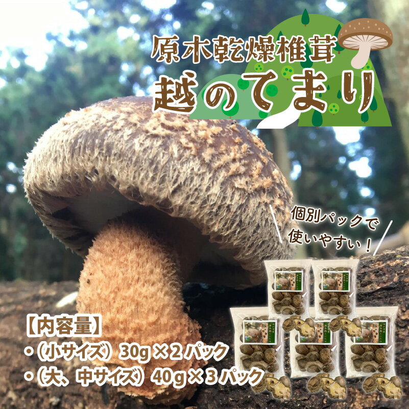 【ふるさと納税】鯖江市産 原木乾燥椎茸「越のてまり」 （大・中サイズ）3パック &（小サイズ）2パック　計5パック / 国産 きのこ 調理 グルメ [B-05001] - 画像2