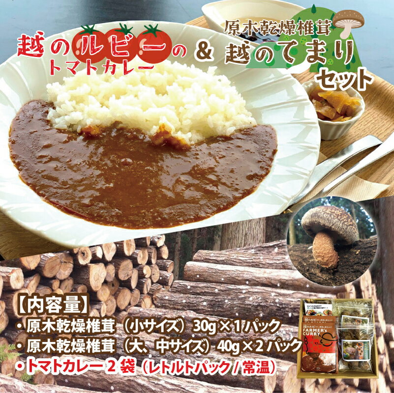 【ふるさと納税】鯖江市産 原木乾燥椎茸「越のてまり」& 越のルビーのトマトカレーセット / 国産 きのこ 調理 グルメ レトルト 完熟 ミディトマト [B-05002] - 画像2