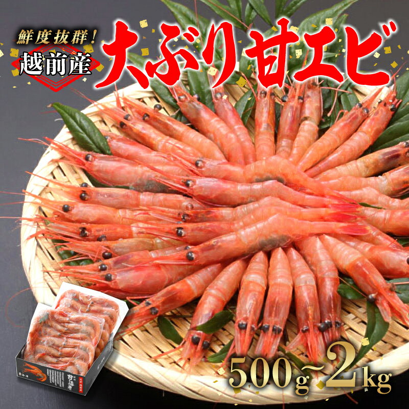 【選べる容量！】【小分け】越前産冷凍甘えび大サイズ 500g / 1.0kg / 1.5kg / 2.0kg [C-11012] / 甘えび 甘エビ えび 大ぶり甘エビ 海老 海鮮 刺身 冷凍 福井県鯖江市