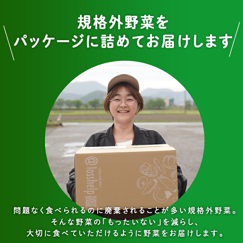 【ふるさと納税】多数のメディアで紹介されました！【訳あり】旬のもったいないお野菜詰め合わせセット[B-16402] / 訳あり 訳アリ ロスヘル 野菜 規格外野菜 冬野菜 やさい サラダ フードロス 果物 くだもの フルーツ 福井県鯖江市 - 画像2