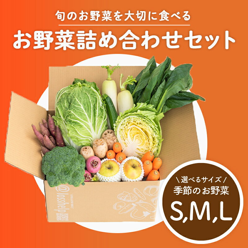 多数のメディアで紹介されました！【訳あり】旬のもったいないお野菜詰め合わせセット[B-16402] / 訳あり 訳アリ ロスヘル 野菜 規格外野菜 冬野菜 やさい サラダ フードロス 果物 くだもの フルーツ 福井県鯖江市