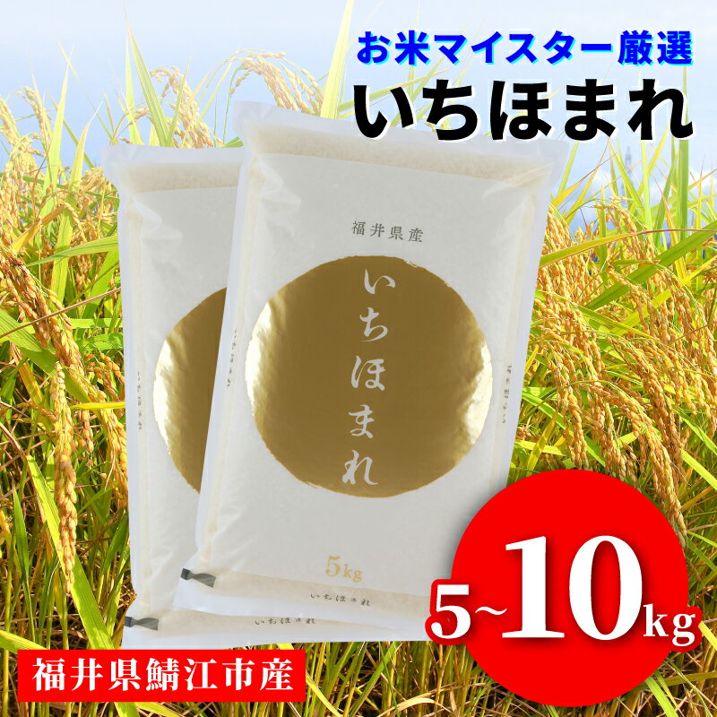 令和7年産 いちほまれ [C-02015] / お米 精米 白米 小分け 便利 ごはん コメ ブランド米 人気 品種 特A 5kg 10kg こしひかり コシヒカリ