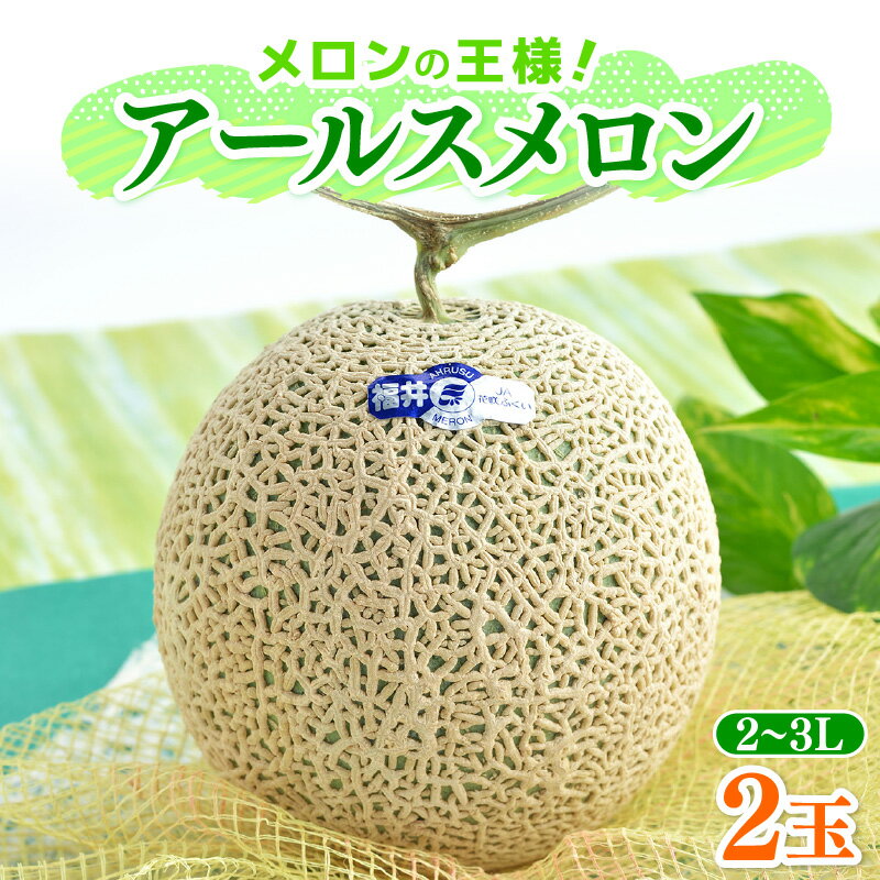 【ふるさと納税】【先行予約】メロンの王様！アールスメロン 2玉入 2～3L 〈贈答用にも最適な最高級メロン〉／ 期間限定 果物 フルーツ 高級メロン マスクメロン 青肉 産地直送 ※2026年7月中旬より順次発送 サムネイル2