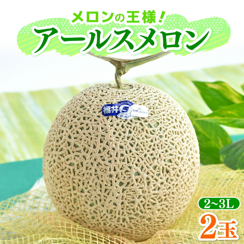 【先行予約】メロンの王様！アールスメロン 2玉入 2～3L 〈贈答用にも最適な最高級メロン〉／ 期間限定 果物 フルーツ 高級メロン マスクメロン 青肉 産地直送 ※2026年7月中旬より順次発送
