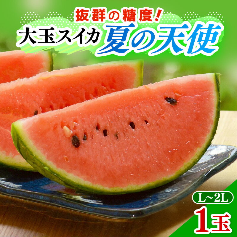 【ふるさと納税】【先行予約】大玉スイカ「夏の天使」 1玉入（L~2L）抜群の糖度で甘い！／ 期間限定 果物 フルーツ 西瓜 産地直送 ※2026年7月中旬より順次発送 サムネイル2