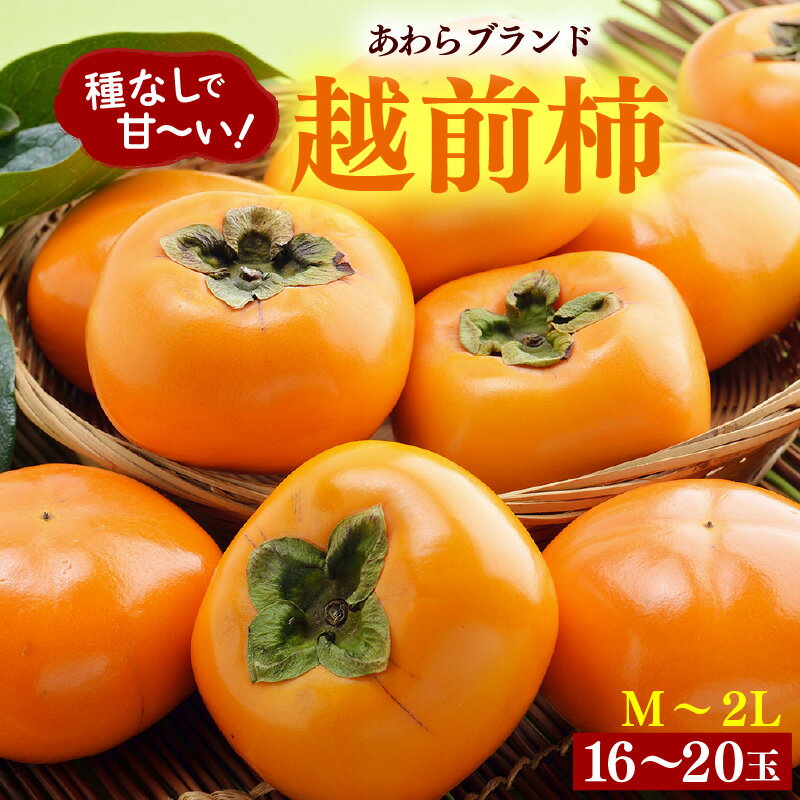 【先行予約】越前柿 16～20玉入 M～2L 《種なしで食べやすく甘い！》 あわらブランド ／ 柿 期間限定 果物 フルーツ 産地直送 旬 お取り寄せ ※2026年10月中旬以降順次発送