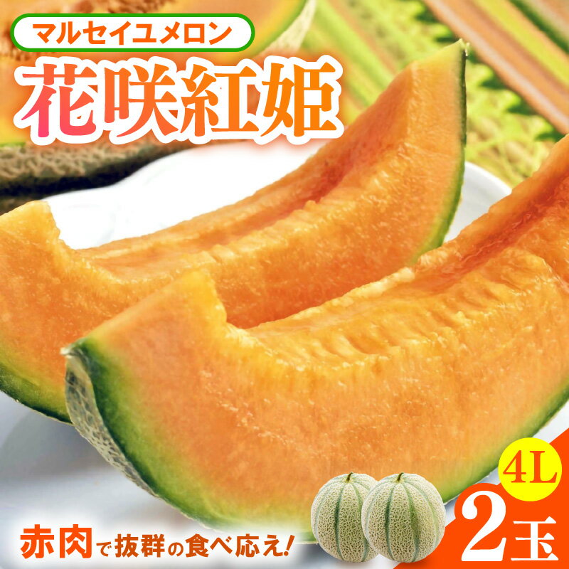 【ふるさと納税】【先行予約】マルセイユメロン 2玉入 4Lサイズ ※2026年6月中旬より順次発送 ／ メロン フルーツ 果物 赤肉 花咲紅姫 贈答用 プレゼント 贈り物 国産 期間限定 産地直送 人気 サムネイル2