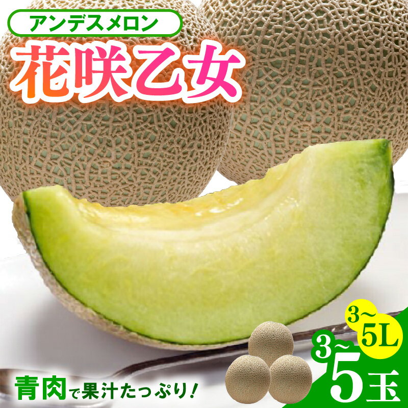 【ふるさと納税】【先行予約】3～5玉入 アンデスメロン 花咲乙女 《甘くまろやか！青肉で果汁たっぷり》／ 期間限定 果物 フルーツ 青肉 産地直送 ※2026年6月下旬より順次発送 サムネイル2