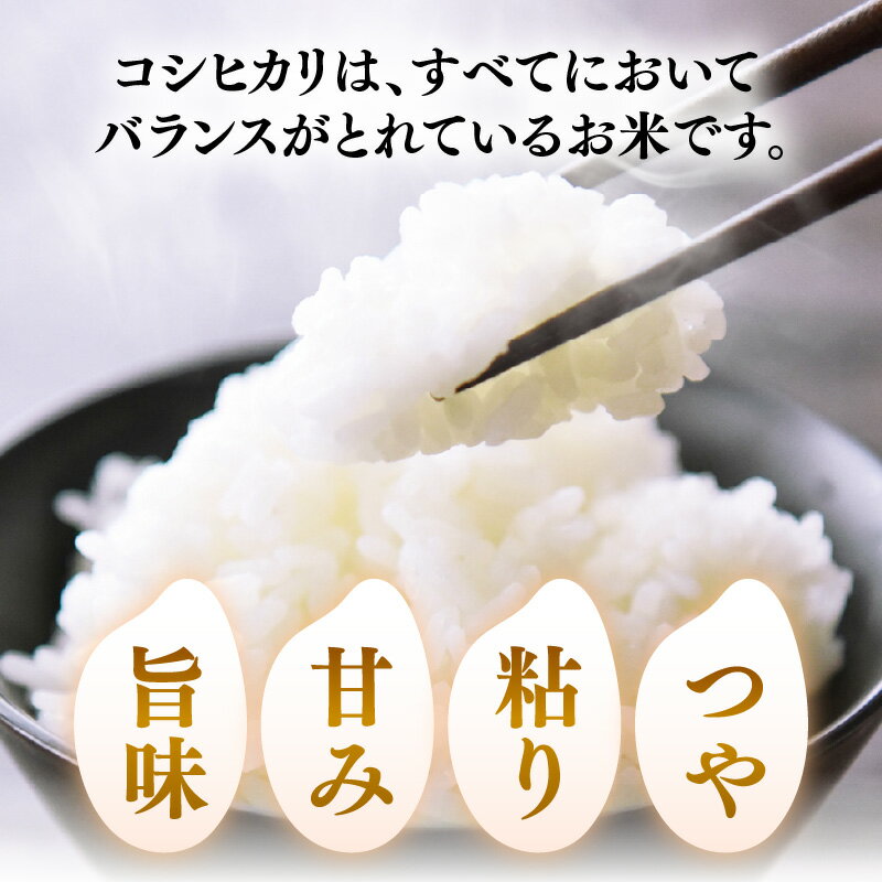 【ふるさと納税】【令和7年産】 化学肥料不使用コシヒカリ 精米 4kg(1kg×4パック）【真空パック】 / 白米 米 福井県あわら市産 美味しい 特別栽培米 減農薬 旨味 甘み もっちり エコファーマー こしひかり 冷蔵保管米 - 画像3