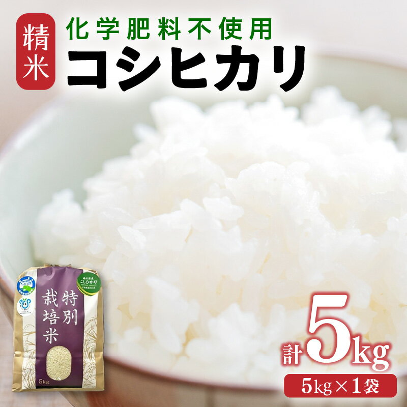 【令和7年産】 化学肥料不使用コシヒカリ 精米5kg（5kg×1袋） / 白米 米 福井県あわら市産 美味しい 特別栽培米 減農薬 安心な米 旨味 甘み もっちり エコファーマー こしひかり 冷蔵保管米