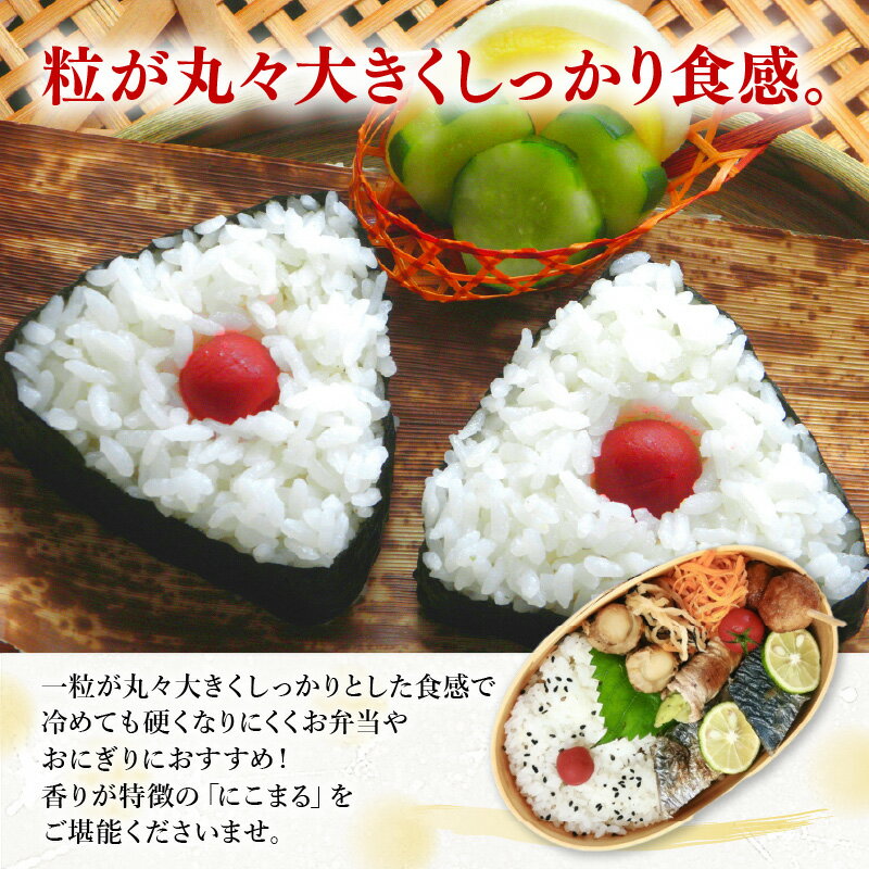 【ふるさと納税】【令和7年産】 化学肥料不使用にこまる 精米4kg（1kg×4パック）【真空パック】 / 白米 米 福井県産 美味しい 特別栽培米 旨味 甘み 歯ごたえ エコファーマー 冷蔵保管米 真空パック - 画像3