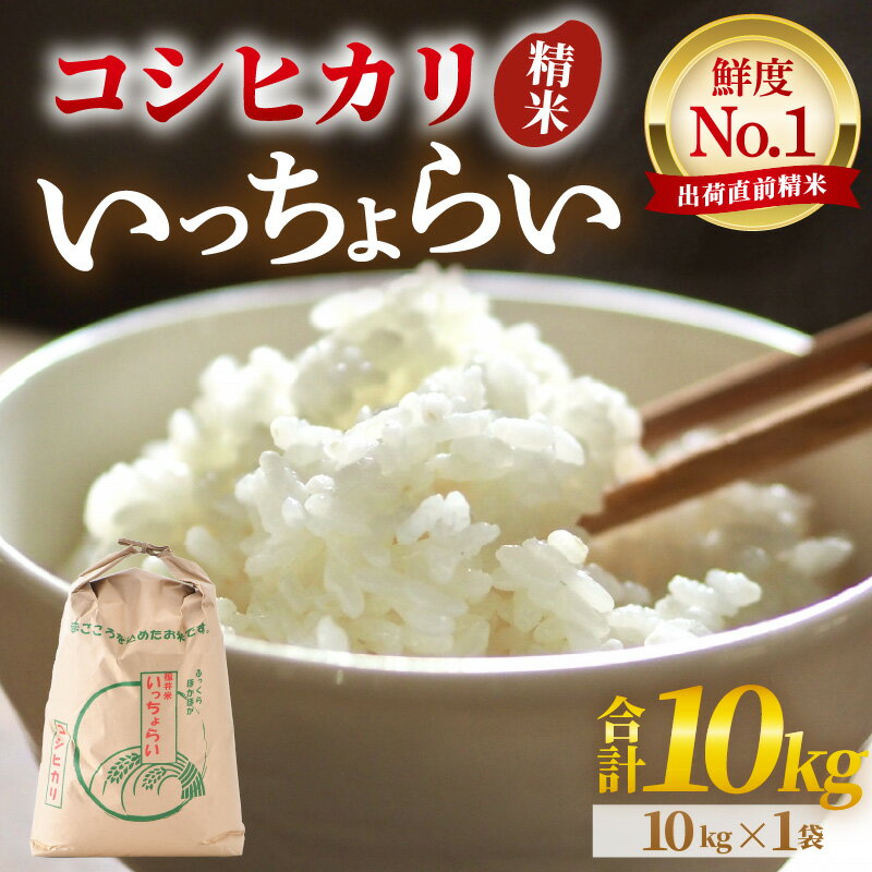 【ふるさと納税】【先行予約】【令和8年産・新米】【一等米】いっちょらい 精米 10kg×1袋 ／ 福井県産 ブランド米 コシヒカリ ご飯 白米 お米 コメ 新鮮 大賞 受賞 新米 福井県あわら産 ※2026年9月下旬以降順次発送予定 - 画像2
