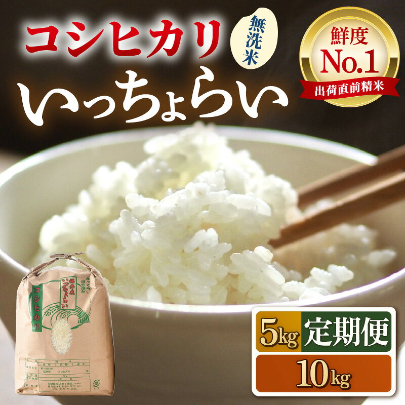 【先行予約】【令和8年産・新米】【一等米】いっちょらい コシヒカリ 無洗米 5kg 10kg【選べる容量 定期便】 ／ 5キロ 10キロ 定期便 12ヶ月 お米 福井県産 ブランド米 コシヒカリ ご飯 白米 新鮮 大賞 受賞 ※2026年9月下旬以降順次発送予定