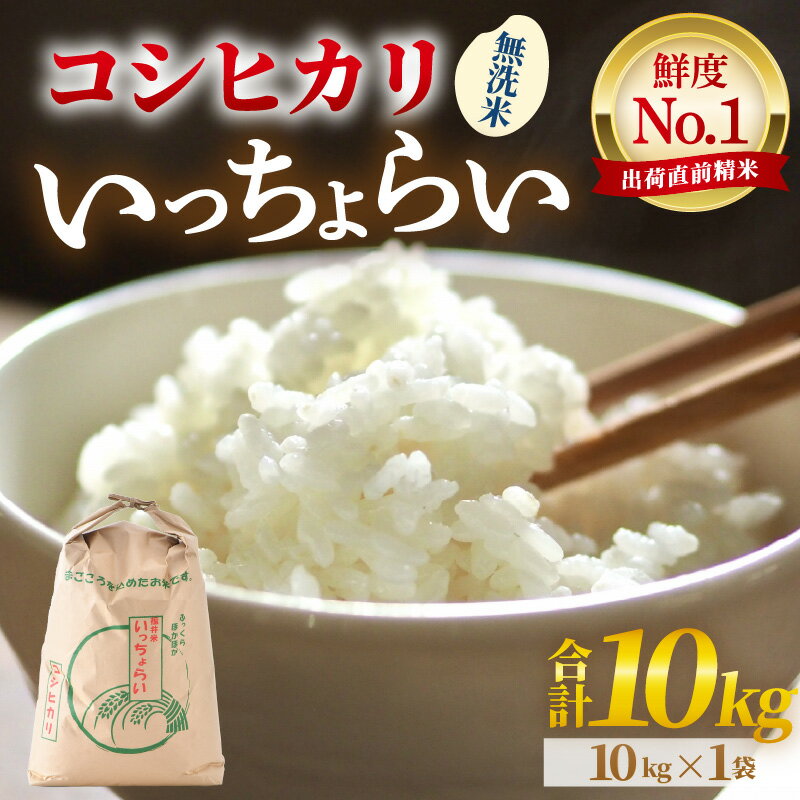 【先行予約】【令和8年産・新米】【一等米】いっちょらい 無洗米 10kg×1袋 ／ 福井県産 ブランド米 コシヒカリ ご飯 白米 新鮮 大賞 受賞 ※2026年9月下旬以降順次発送予定