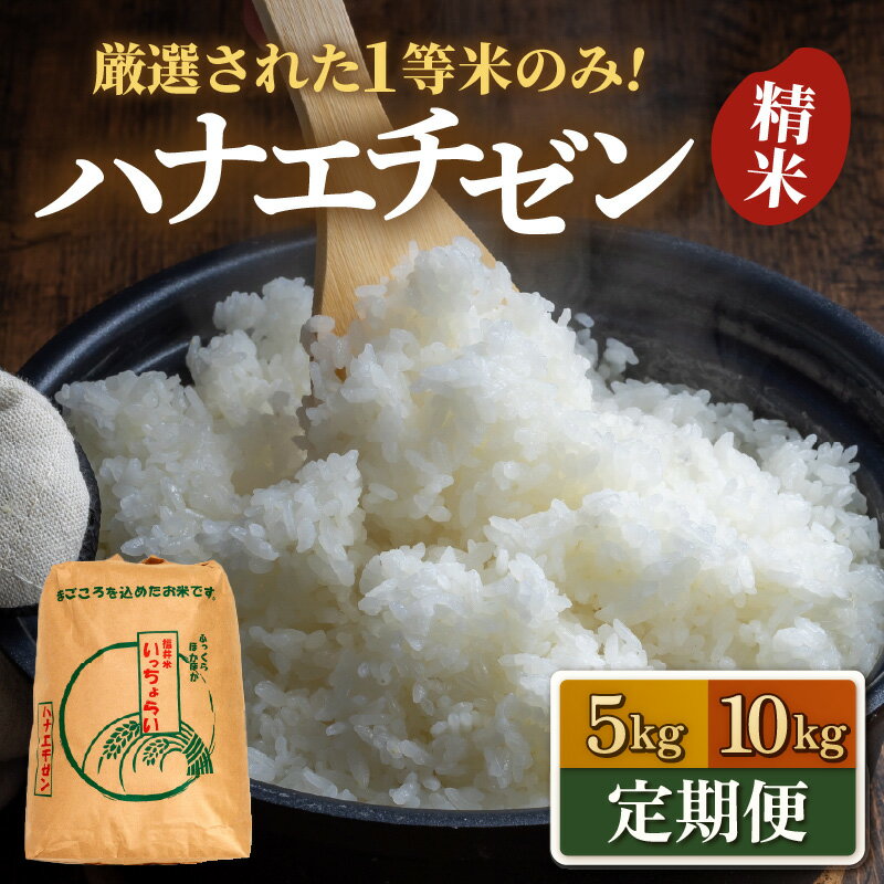 【ふるさと納税】【先行予約】【令和8年産・新米】 ハナエチゼン 精米 5kg 10kg 定期便【選べる容量 定期便】【一等米】《発送直前精米！》 / ハナエチゼン ブランド米 はなえちぜん 白米 米 コメ 新鮮 新米 福井県産ハナエチゼン あわら産 ※2026年9月上旬以降順次発送予定 - 画像2