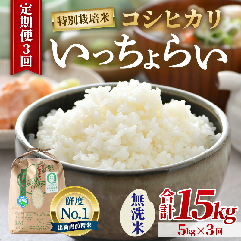 【ふるさと納税】【先行予約】【令和8年産・新米】【一等米】《定期便3回》特別栽培米 いっちょらい 無洗米 5kg × 3回（計15kg）／ 米 お米 定期便 5キロ 福井県産 ブランド米 コシヒカリ ご飯 白米 新鮮 大賞 受賞 ※2026年10月上旬以降順次発送予定 - 画像2