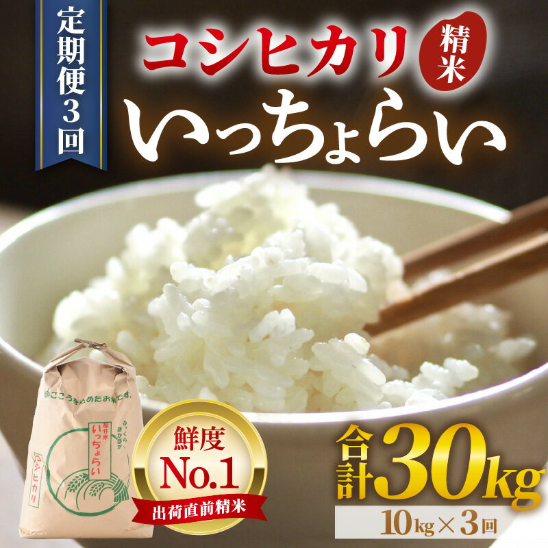 【先行予約】【令和8年産・新米】米 定期便【一等米】《定期便3回》いっちょらい 精米 10kg × 3回（計30kg）／ 福井県産 ブランド米 コシヒカリ ご飯 白米 新鮮 大賞 受賞 新米 福井県あわら産 ※2026年10月上旬以降順次発送予定