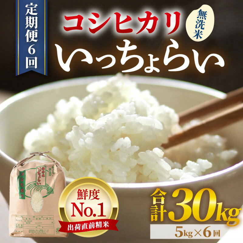 【ふるさと納税】【先行予約】【令和8年産・新米】米 定期便【一等米】《定期便6回》いっちょらい 無洗米 5kg × 6回（計30kg） ／ お米 無洗米 福井県産 ブランド米 コシヒカリ ご飯 白米 新鮮 大賞 受賞 ※2026年10月上旬以降順次発送予定 - 画像2