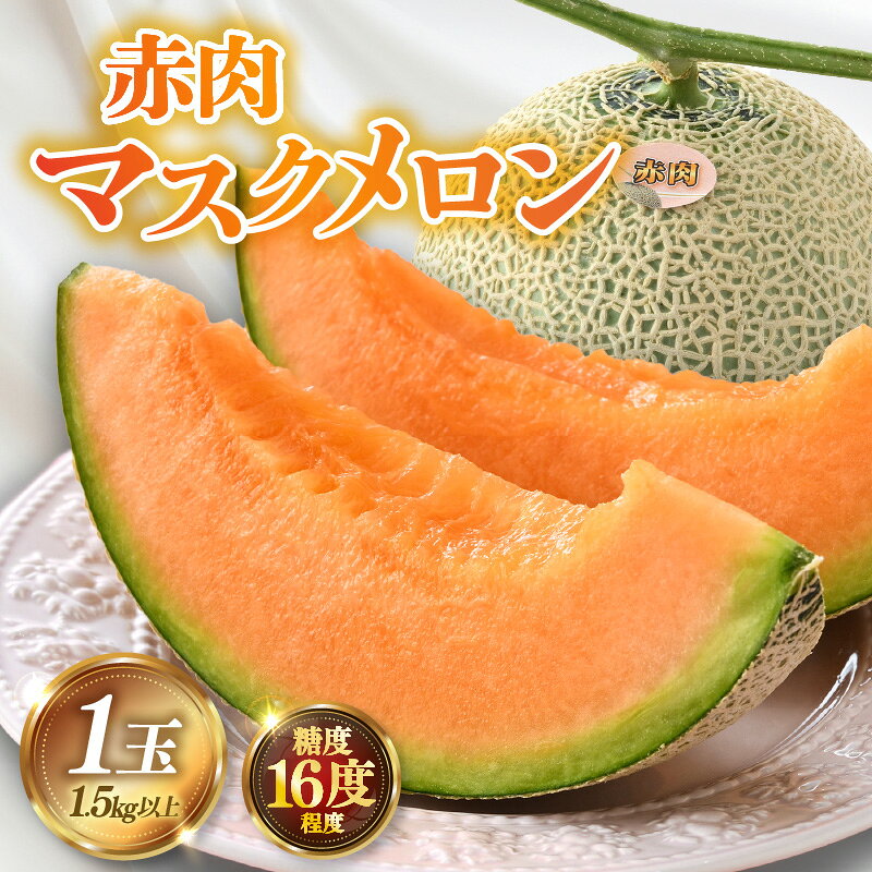 【ふるさと納税】【先行予約】糖度16度以上保証！赤肉マスクメロン 秀品 1玉（1.5kg以上）【アールス系赤肉メロン】《1株1果採りで育てる高級メロン！》／ 果物 フルーツ 農家直送 赤肉メロン アールスメロン ギフト 贈答用 ※2026年7月上旬より順次発送予定 サムネイル2