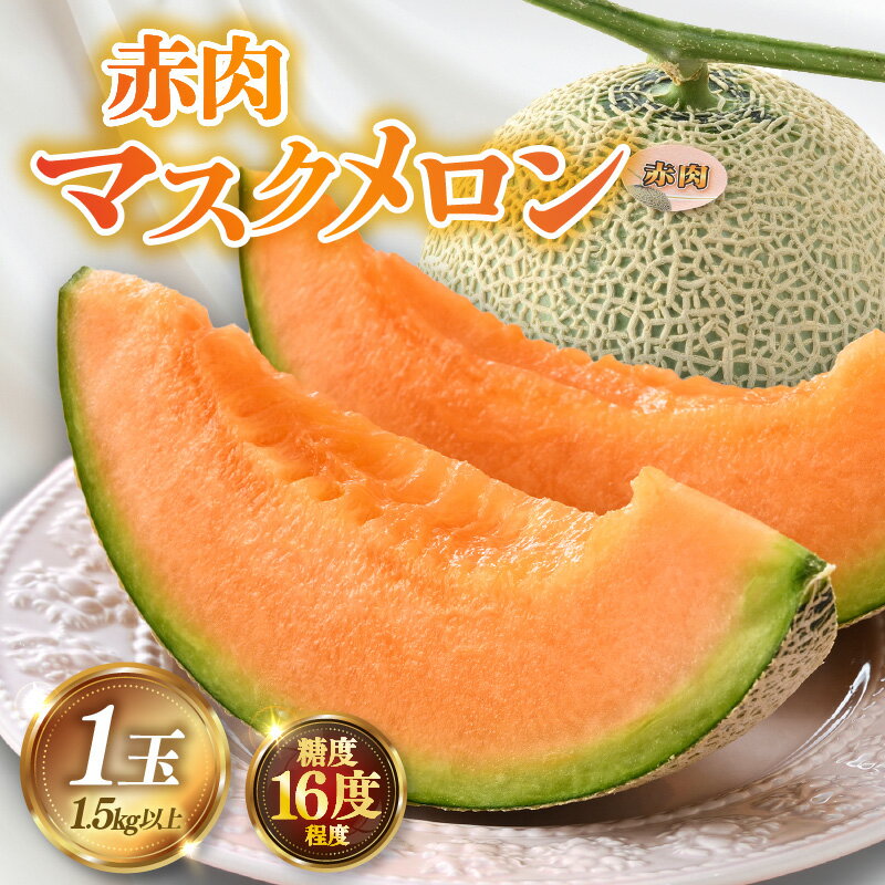 【先行予約】糖度16度以上保証！赤肉マスクメロン 秀品 1玉（1.5kg以上）【アールス系赤肉メロン】《1株1果採りで育てる高級メロン！》／ 果物 フルーツ 農家直送 赤肉メロン アールスメロン ギフト 贈答用 ※2026年7月上旬より順次発送予定