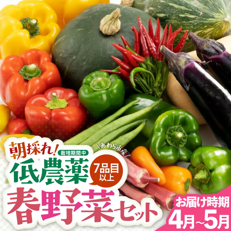 【先行予約】農家直送 春野菜セット 1箱 7品目以上 《元気に育った新鮮野菜！》／ 季節 春 野菜 ボックス BOX セット セレクト 農家 おまかせ 多品目 旬 詰め合わせ ※2026年4月下旬より順次発送