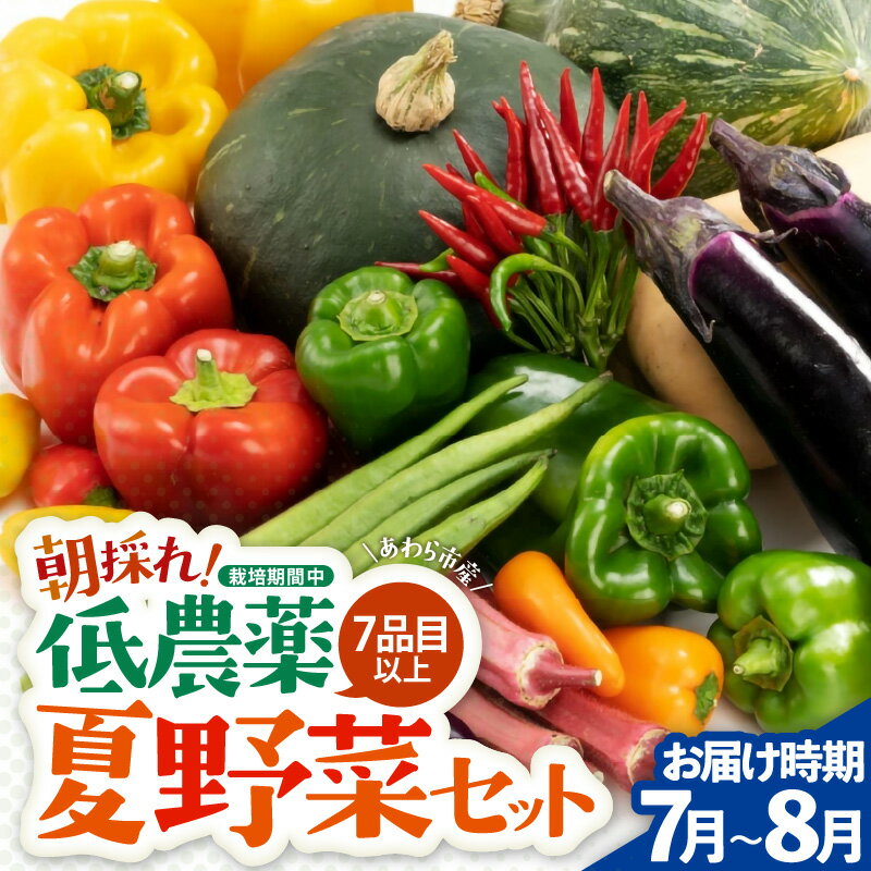 【先行予約】農家直送 夏野菜セット 1箱 7品目以上 《元気に育った新鮮野菜！》／ 季節 夏 野菜 ボックス BOX セット セレクト 農家 おまかせ 多品目 旬 詰め合わせ ※2026年7月中旬以降発送