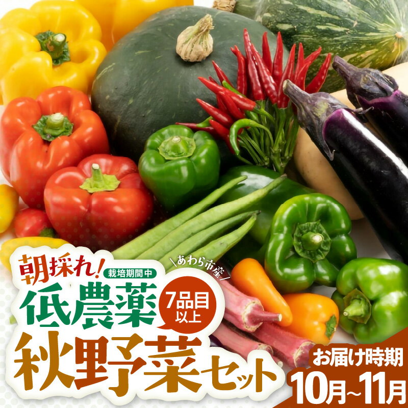 【先行予約】農家直送 秋野菜セット 1箱 7品目以上 《元気に育った新鮮野菜！》／ 季節 秋 野菜 ボックス BOX セット セレクト 農家 おまかせ 多品目 旬 詰め合わせ 福井 あわら市 ※2026年10月下旬以降発送