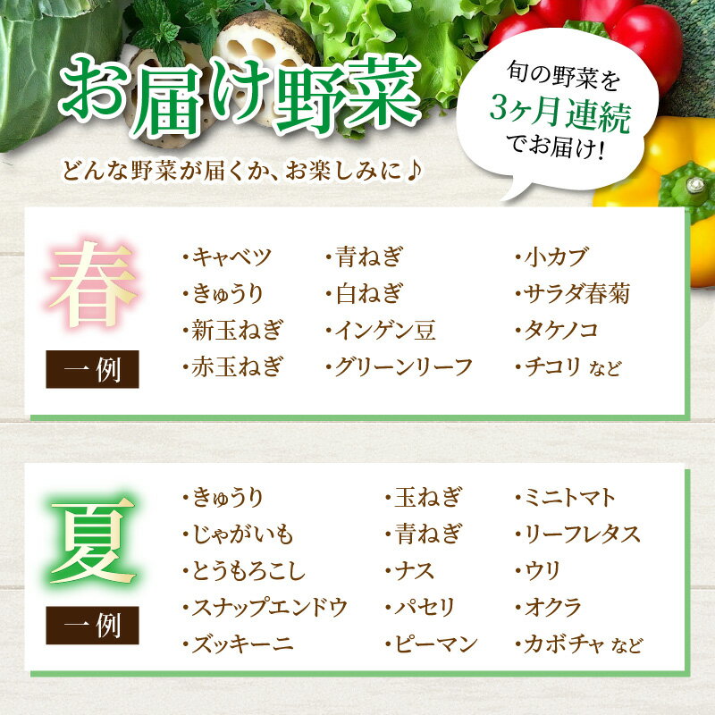 【ふるさと納税】【単発便5営業日発送！】農家直送 旬の野菜セット 7品目以上 1箱【選べる回数】1回 3回 6回 12回 / 定期便 単発 3ヶ月 6ヶ月 12ヶ月 季節 野菜 ボックス BOX セット セレクト 農家 おまかせ 多品目 旬 詰め合わせ 根菜 葉物 サムネイル3
