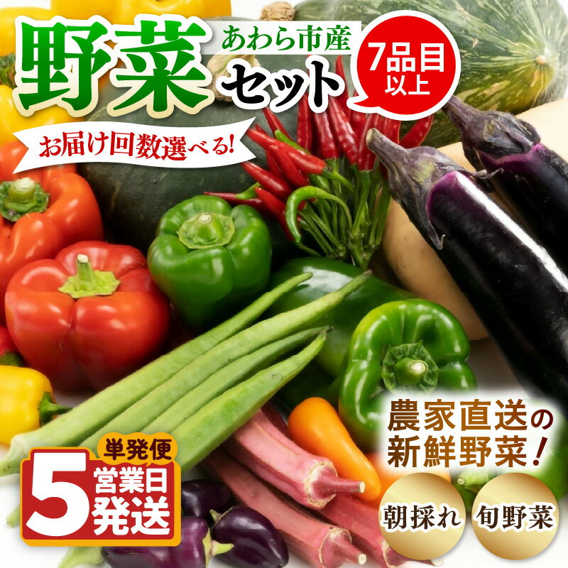 【単発便5営業日発送！】農家直送 旬の野菜セット 7品目以上 1箱【選べる回数】1回 3回 6回 12回 / 定期便 単発 3ヶ月 6ヶ月 12ヶ月 季節 野菜 ボックス BOX セット セレクト 農家 おまかせ 多品目 旬 詰め合わせ 根菜 葉物