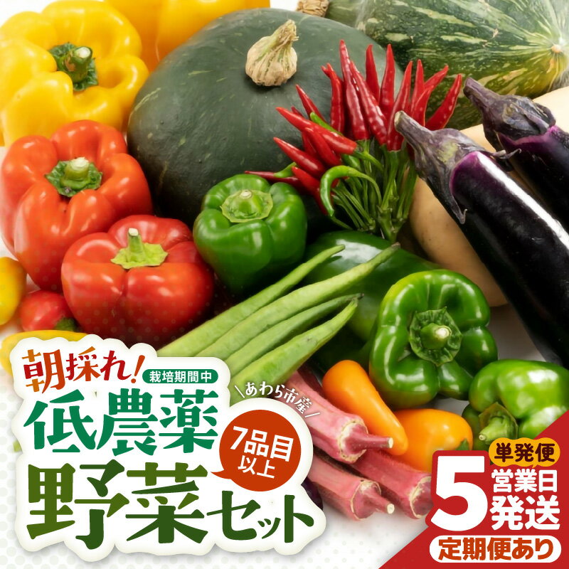 【単発便5営業日発送！】農家直送 旬の野菜セット 7品目以上 1箱【選べる回数】1回 3回 6回 12回 / 定期便 単発 3ヶ月 6ヶ月 12ヶ月 季節 野菜 ボックス BOX セット セレクト 農家 おまかせ 多品目 旬 詰め合わせ 根菜 葉物
