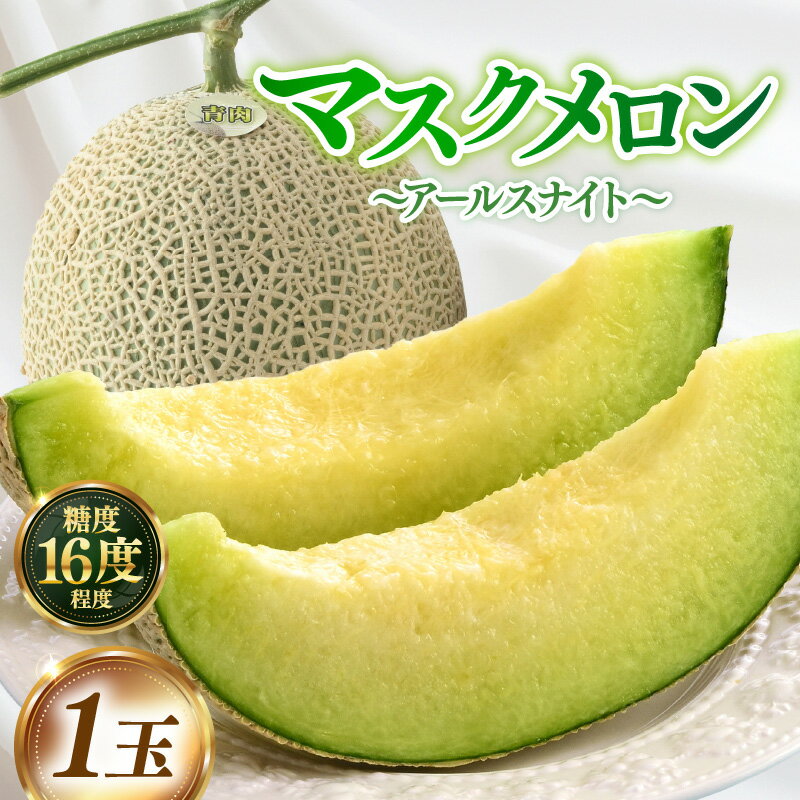 【先行予約】糖度16度以上保証！高級マスクメロン 秀品 1玉（1.5kg以上）《1株1果採りで育てる高級メロン！》【アールス系青肉メロン】／ 果物 フルーツ 農家直送 青肉 アールスメロン ギフト 贈答用 ※2026年7月上旬より順次発送予定