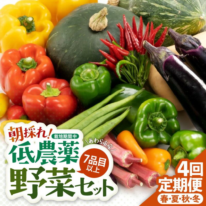 【ふるさと納税】＜定期便 4回＞ 新鮮野菜セット 1箱 7品目以上 【春 夏 秋 冬 発送】／ 季節 野菜 ボックス BOX セット セレクト 農家 おまかせ 多品目 旬 詰め合わせ 根菜 葉物 - 画像2