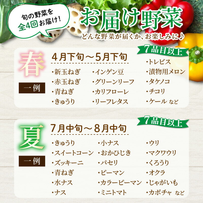 【ふるさと納税】＜定期便 4回＞ 新鮮野菜セット 1箱 7品目以上 【春 夏 秋 冬 発送】／ 季節 野菜 ボックス BOX セット セレクト 農家 おまかせ 多品目 旬 詰め合わせ 根菜 葉物 - 画像3