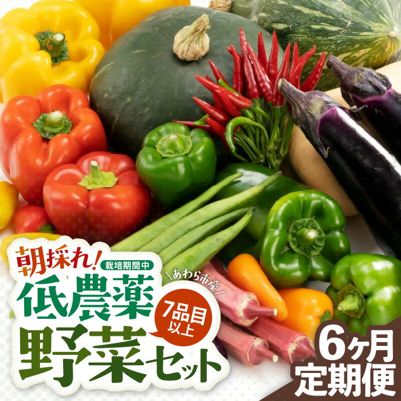 【6ヶ月連続お届け】農家直送 旬の野菜セット 7品目以上 1箱 ／ 定期便 6回 季節 野菜 ボックス BOX セット セレクト 農家 おまかせ 多品目 旬 詰め合わせ 根菜 葉物